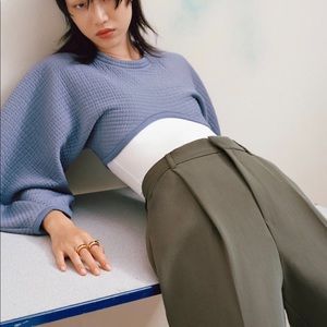 Cropped Zara Sweatshirt